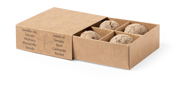 Herb Growing Kit Solmi