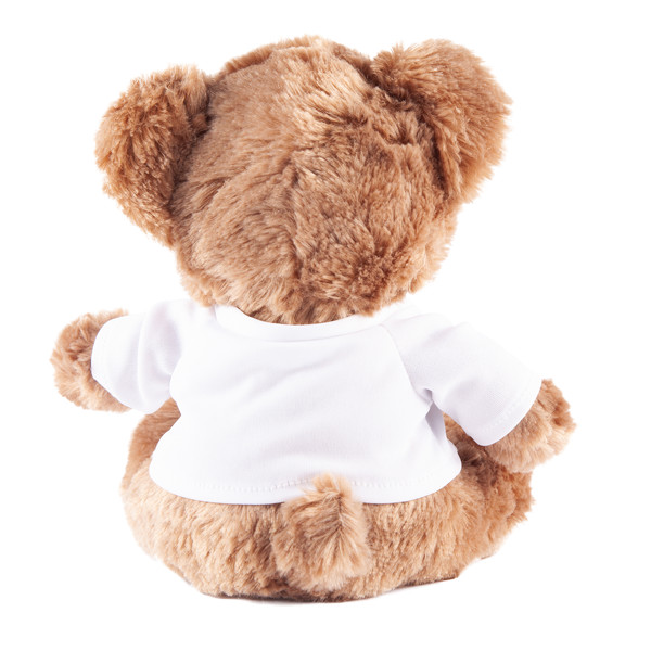 Grizzly cuddly toy