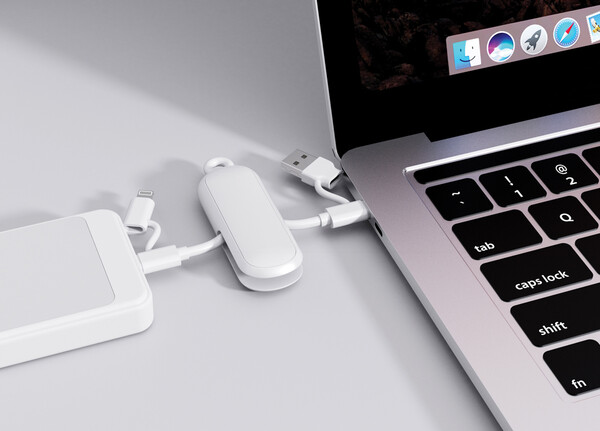 Urban Vitamin Dublin 100W 4 -in-1 keychain cable - White