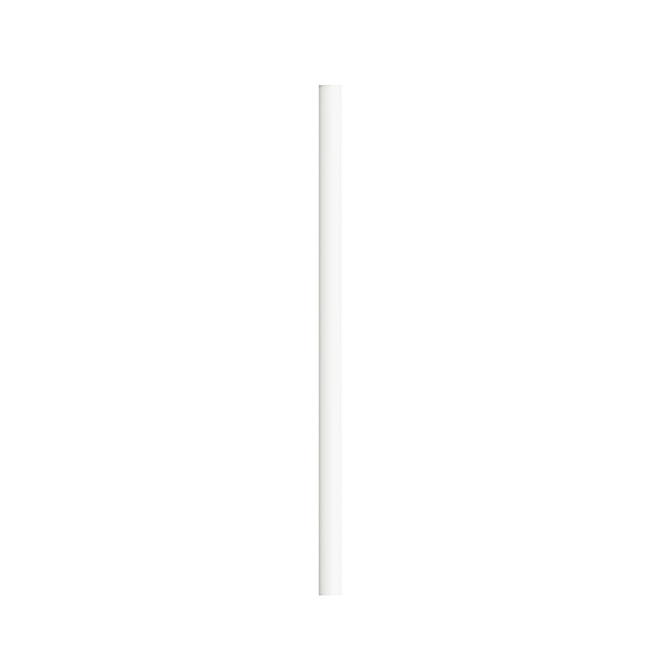 BIC® Evolution® Magnificent Cut end pencil - Blanco (Para Digital)