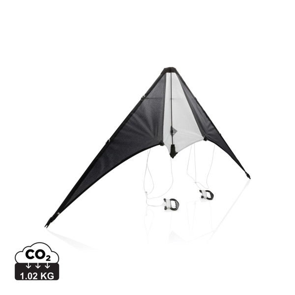 XD - Delta kite