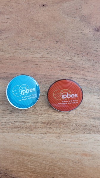 Lapel pins with Full colour print