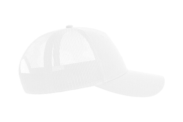 Zion - White / White