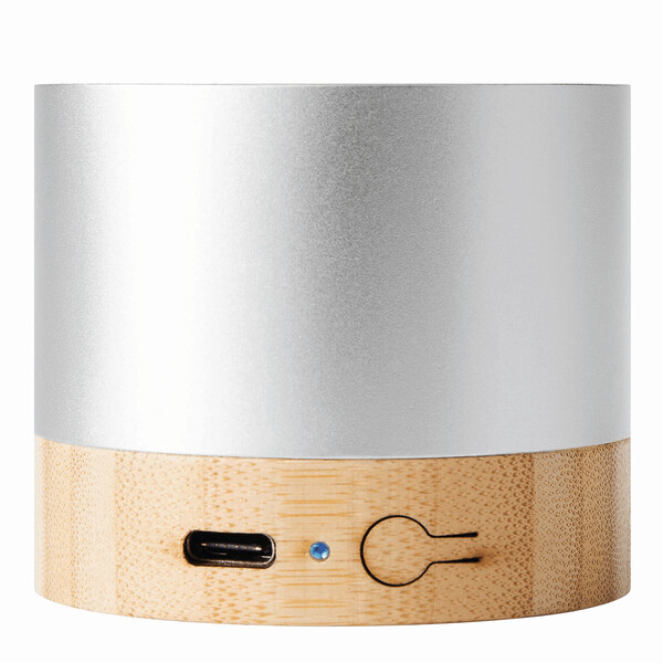 Wireless Speaker Pure Sound - Silver