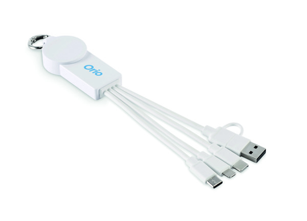 2 in 1 charging cable type-C Icab