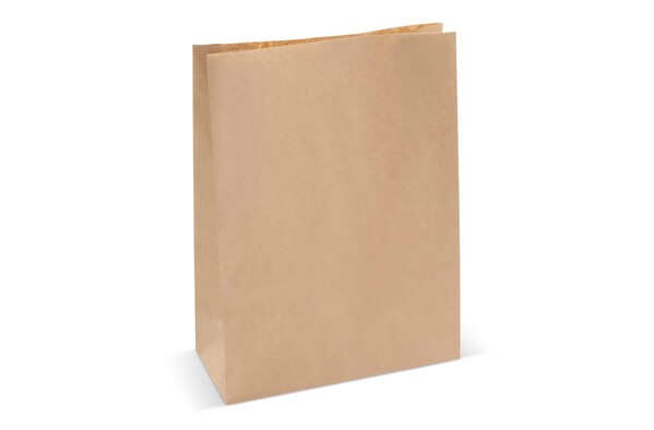 Sac en papier 70g/m² 29x22x9cm