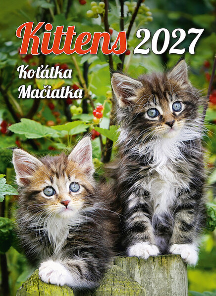 Calendar Kittens