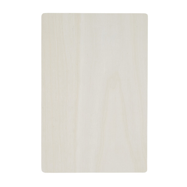Wooden Puzzle Brain Twister