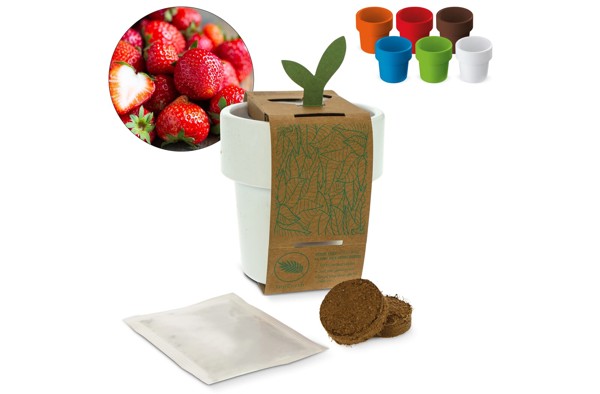 Hot-but-cool cup with strawberry seeds - White