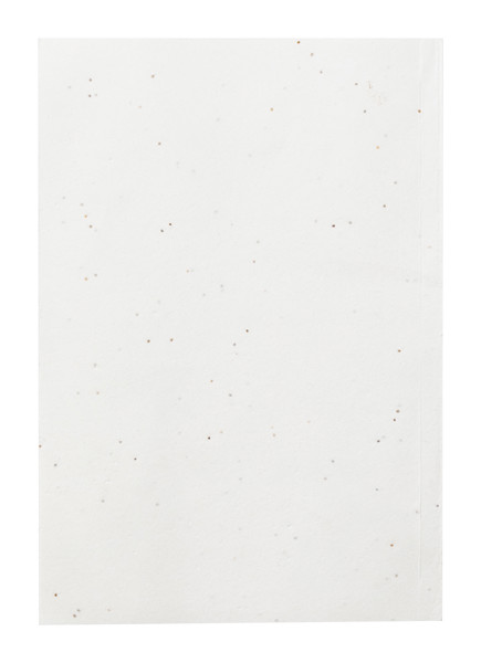 Seed Paper Notebook Semeno Note