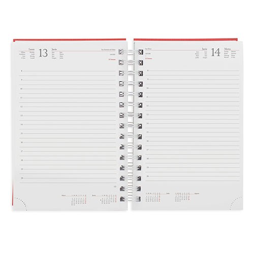 AGENDA ANILHA METALIZADA NICK -