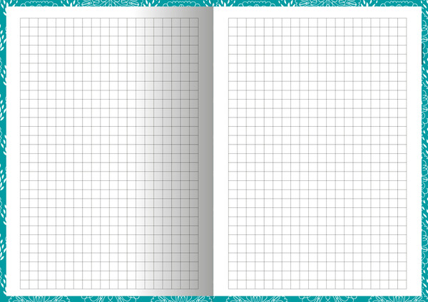 Notes Snowflake