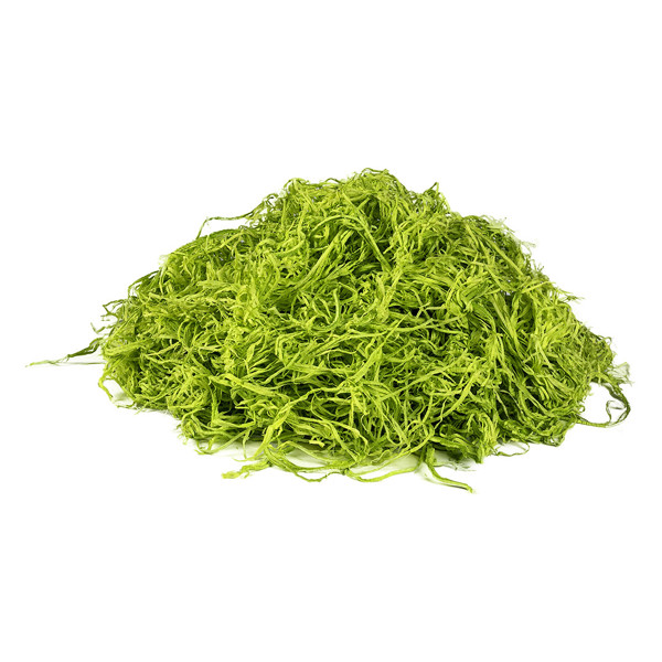 Paper or Wood wool for product packing - from stock