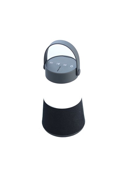 Portable LED lamp with speaker
