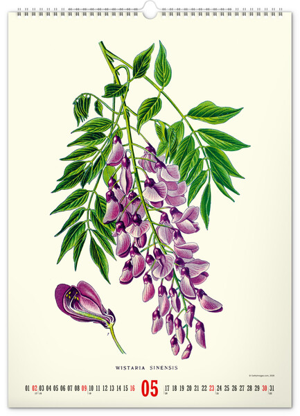 Notique Nástěnný Kalendář Vintage Plakáty – Herbář 2027, 33 x 46 cm