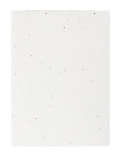 Seed Paper Sticky Notepad Semeno Note
