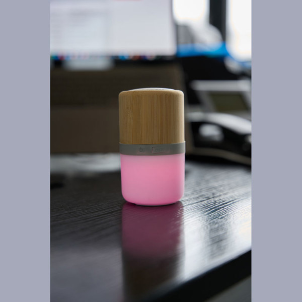 Bluetooth speaker Haarlem