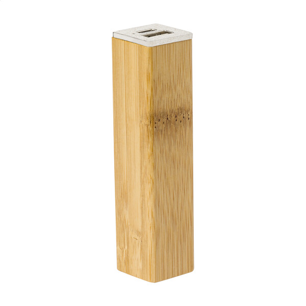 Power Bank Bamster