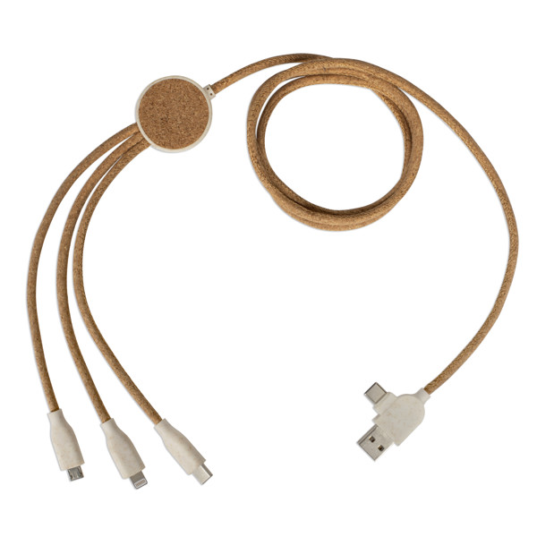 Câble de charge multi-embouts