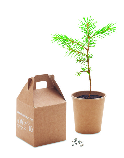 Growtree pine seed set, paper, made in EU