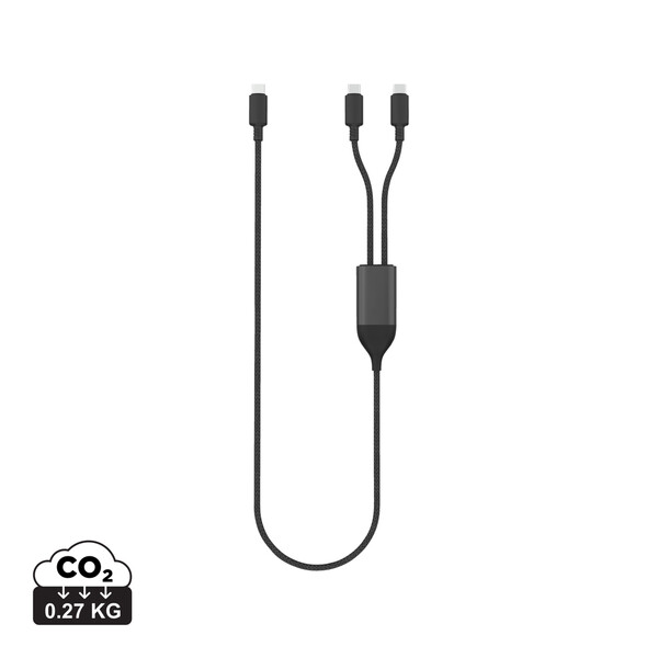 Terra 100W RCS Dual USB C output cable
