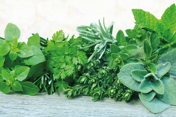 A6 plantable seed paper in your design. 8 different seed options available! - Mix of herbs