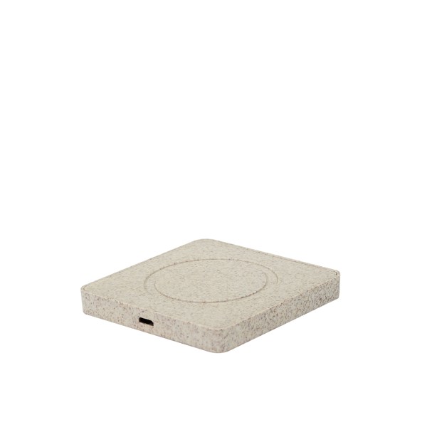 Chargeur indu. INDUBIO