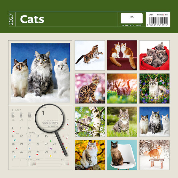 Calendar Cats