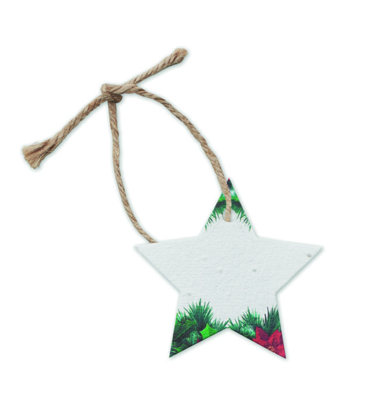 Seed paper Xmas ornament Starseed