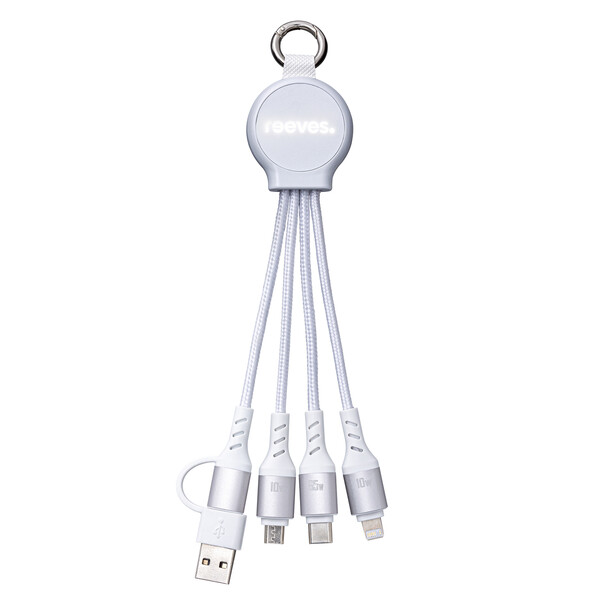Câble de Charge 6 en 1 avec Lumière PUHALANI SWITCH - blanc / blanc