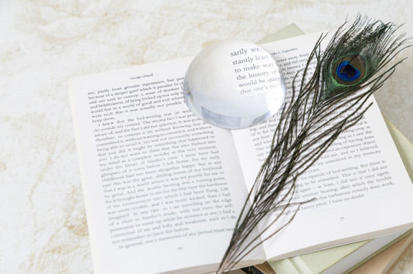 Paperweight Hemisphere