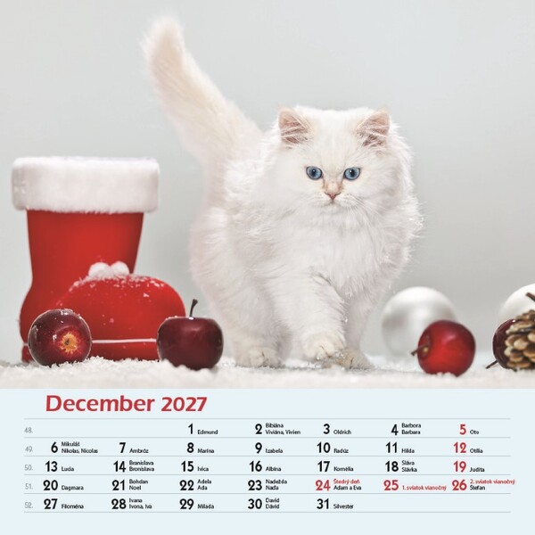 Nástenný Kalendár Mačky 2027