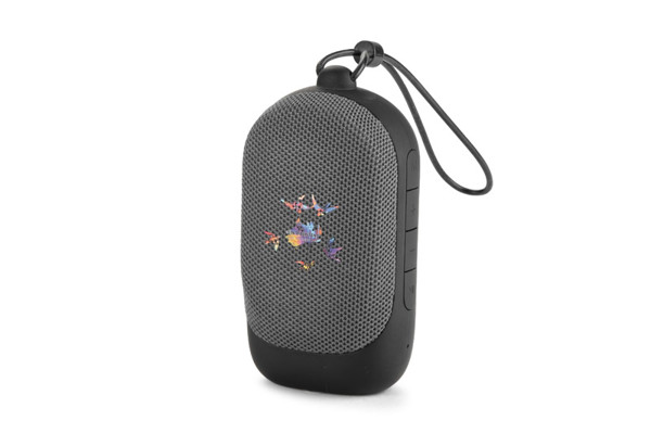 Wireless speaker CADENA