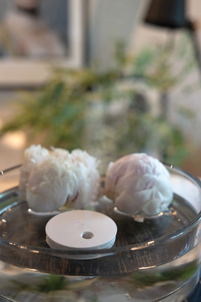 Breevia RCS rplasic re-chargeable floating humidifier