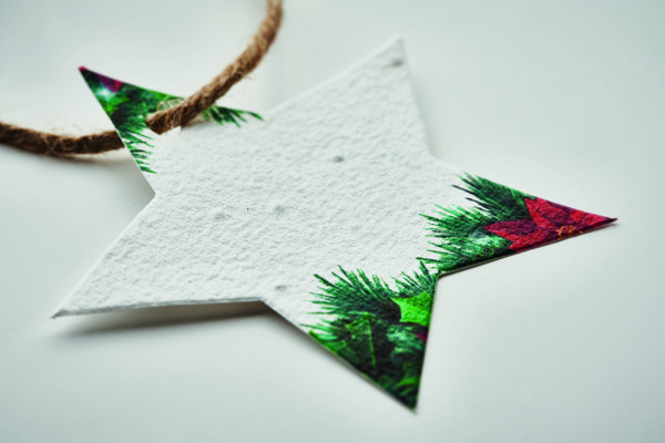 Seed paper Xmas ornament Starseed