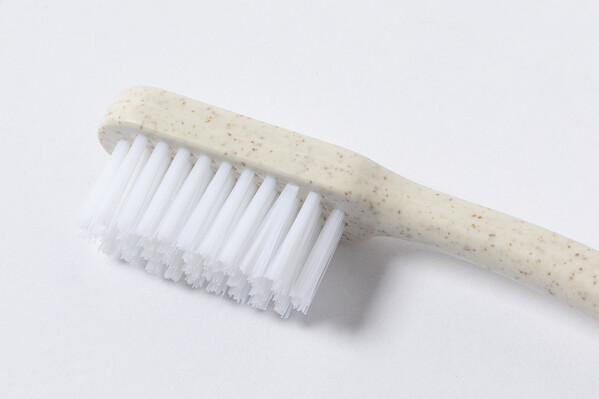 Toothbrush Wehoo