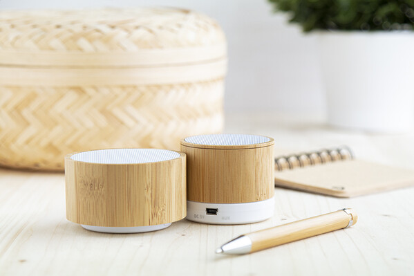 Haut-parleur sans fil Bambeat