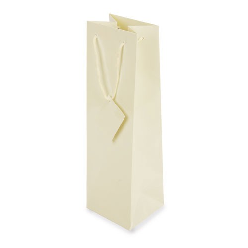 BOLSA PRESENTE PLASTIFICADA -