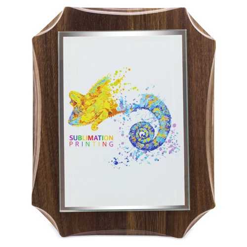 TROPHÉE MODERNE POUR SUBLIMATION "RECTUS"