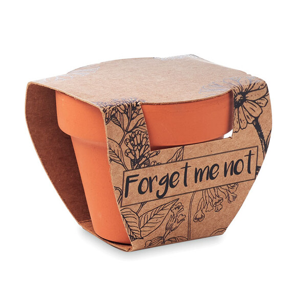 Vaso terracota 'miosótis' Forget Me Not
