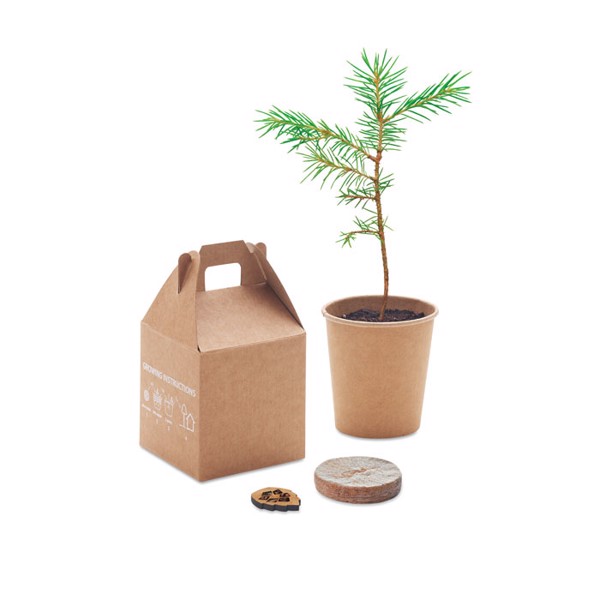 MB - Pine tree set Growtree™