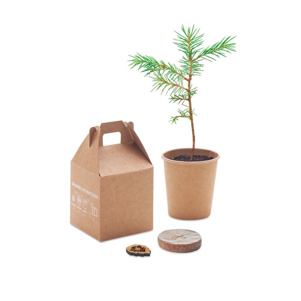 Growtree pine seed set, paper, made in EU