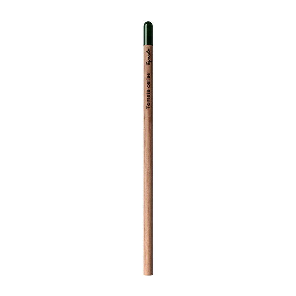 Sprout | Pencil - Thyme - French