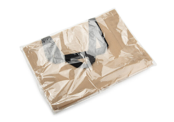 Beach bag BAZA