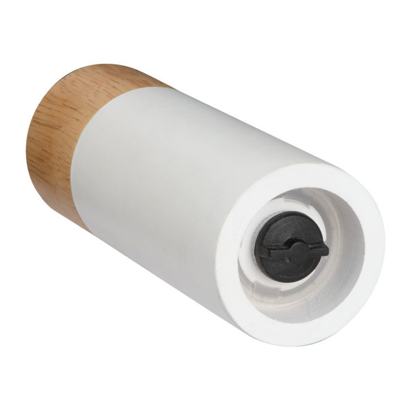 Salt and pepper mill Salty