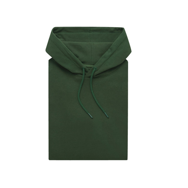Sweat à capuche en coton recyclé Iqoniq Jasper - Forest Green / S