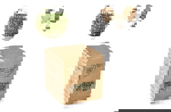 FSC Wooden Planter Set - Microgreens