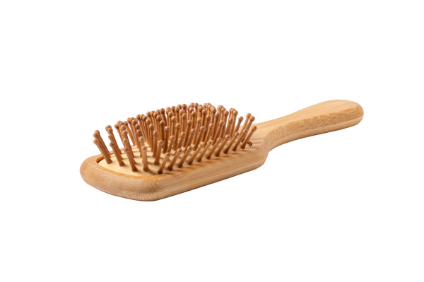Hairbrush Palau