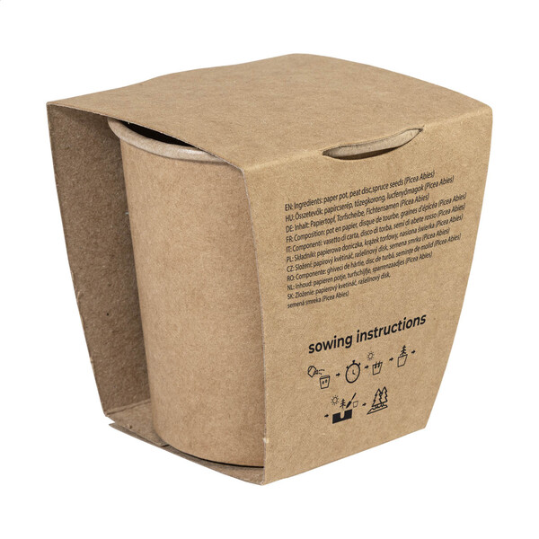 Christmas Tree Growing Kit MerryGrow