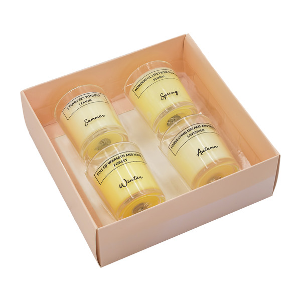 Seasons set of 4 scented candles - Mix